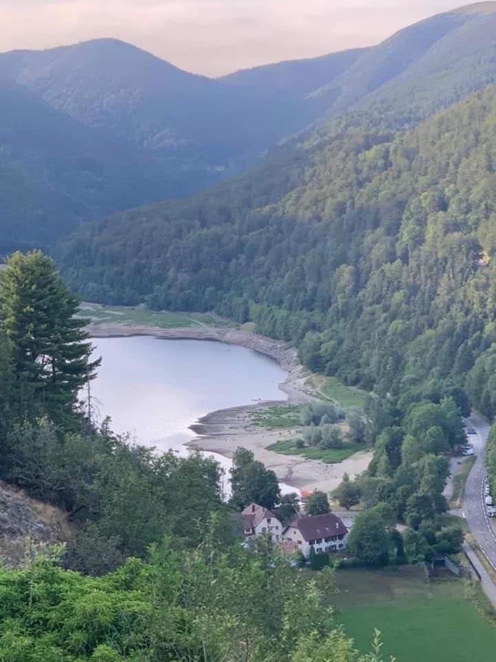 Petite Maison Au Calme Avec Jardin Cloture Les Animaux Bienvenue Mollau Kültér fotó