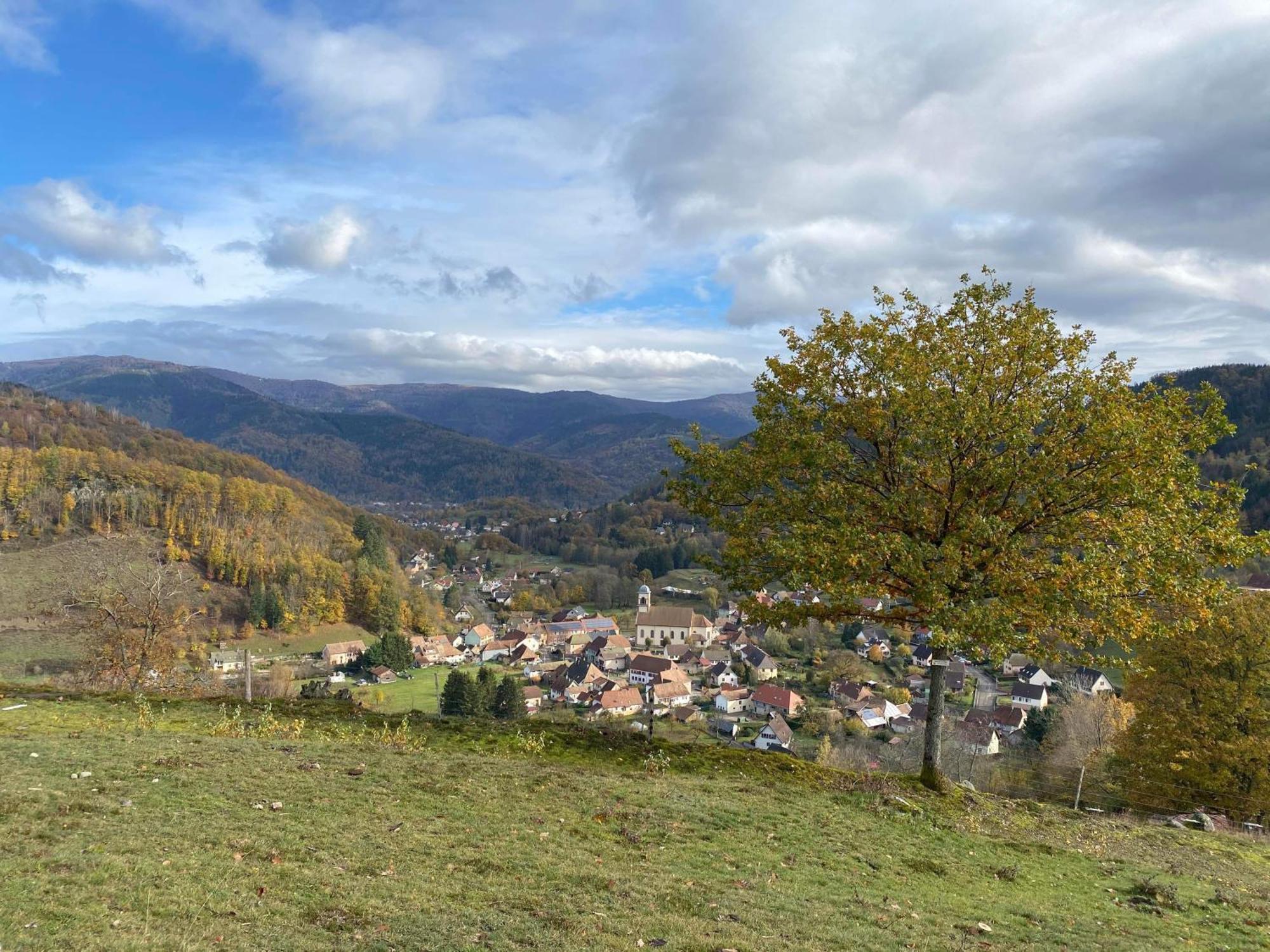 Petite Maison Au Calme Avec Jardin Cloture Les Animaux Bienvenue Mollau Kültér fotó